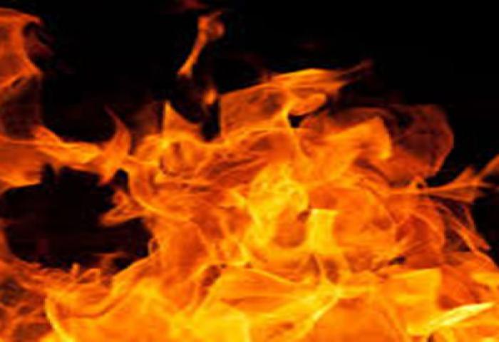 Patroli Manggala Agni Jangkau 1.203 Desa Rawan Karhutla